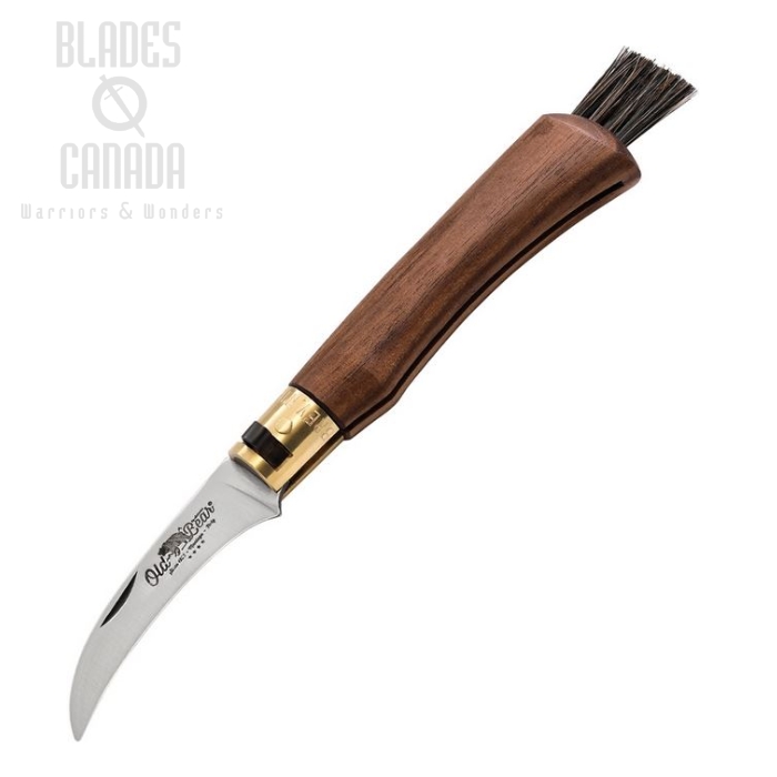 (image for) Old Bear Mushroom Folding Knife, Stainless, Walnut Wood, ANT938719LN